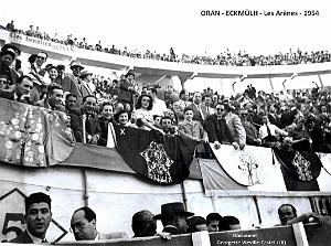 1176- Oran - Eckmulh - Les Arenes - 1954